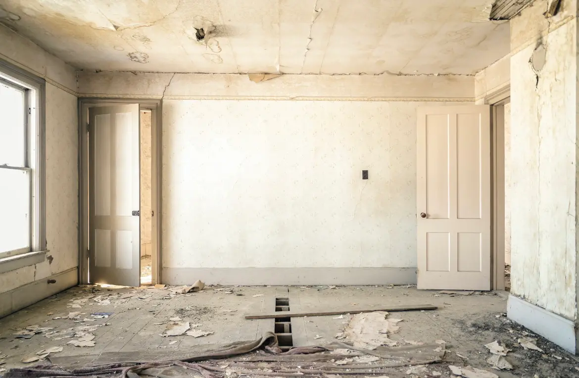 Waste disposal crew managing a cleanout project in Mayville